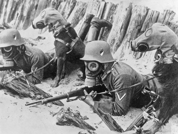 Cultural Reconstructions of the War Body