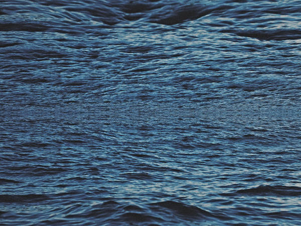 “Aboard ship! ye philosophers!”