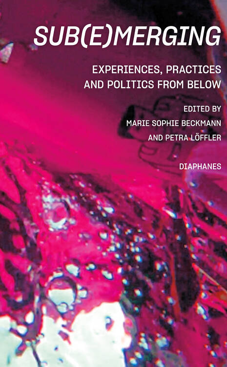 Hannah Schmedes: “The Wet, Soggy, Boggy, Menacingly Undefined”: Queer Approaches Towards the Archive of the Bog